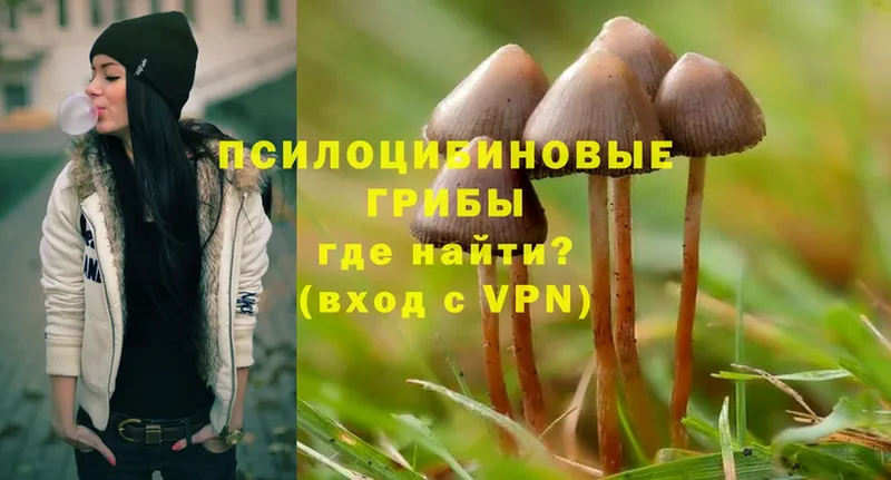 Галлюциногенные грибы MAGIC MUSHROOMS  ОМГ ОМГ ссылка  Удомля 